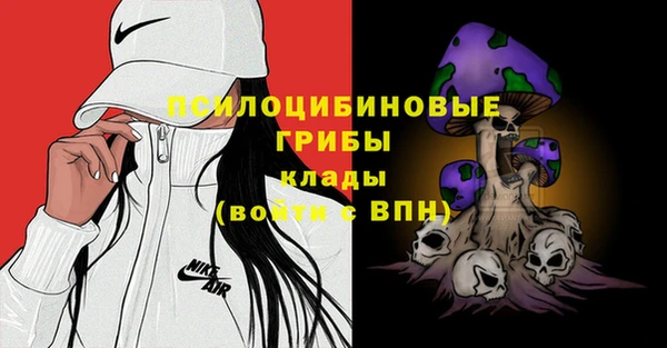 бутират Арсеньев